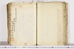 明い022020050017.jpg