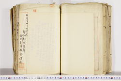 明い022020050020.jpg