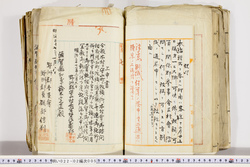 明い022020050023.jpg