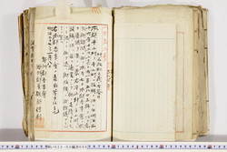 明い022020050025.jpg