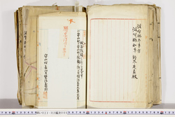 明い022020050026.jpg