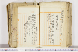 明い022020050029.jpg