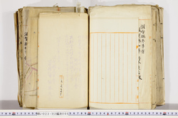 明い022020050031.jpg