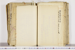 明い022020050032.jpg