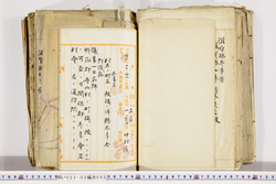 明い022020050033.jpg