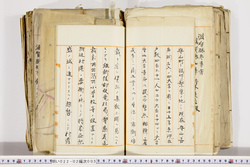 明い022020050035.jpg
