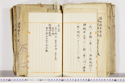 明い022020050036.jpg