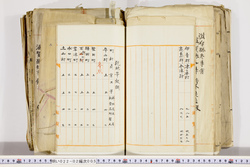 明い022020050040.jpg