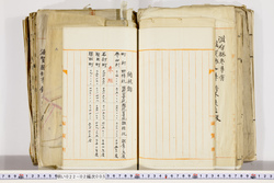 明い022020050043.jpg