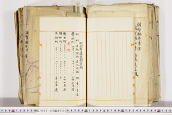 明い022020050044.jpg