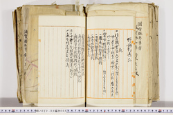明い022020050050.jpg