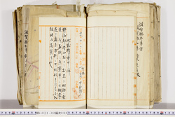 明い022020050051.jpg