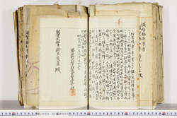 明い022020050053.jpg