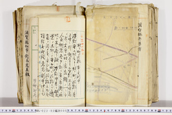 明い022020050056.jpg