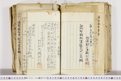 明い022020050057.jpg