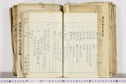 明い022020050062.jpg