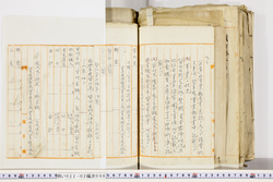 明い022020060005.jpg