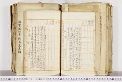 明い022020060007.jpg