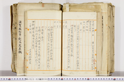 明い022020060008.jpg