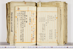 明い022020060009.jpg