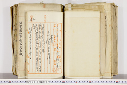 明い022020070004.jpg