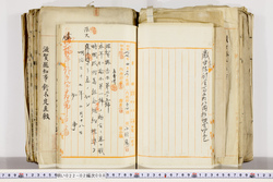 明い022020080003.jpg