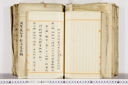 明い022020090002.jpg
