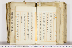 明い022020090003.jpg