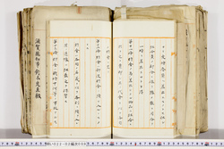 明い022020090007.jpg
