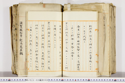 明い022020090009.jpg