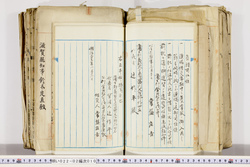 明い022020100005.jpg