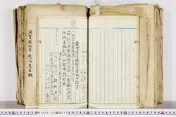 明い022020100006.jpg