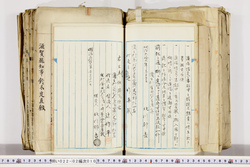明い022020100008.jpg