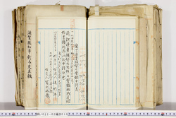 明い022020100009.jpg