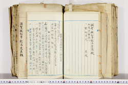 明い022020100010.jpg