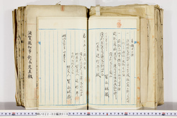 明い022020100011.jpg