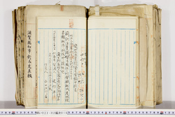 明い022020100012.jpg