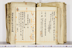 明い022020110002.jpg