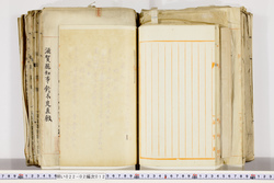 明い022020120002.jpg