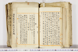 明い022020130002.jpg