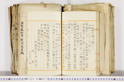 明い022020130007.jpg