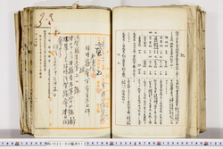 明い022020130010.jpg