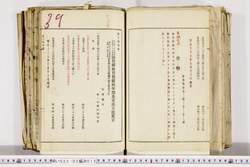 明い022020150009.jpg