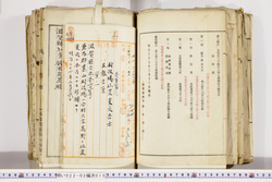 明い022020150022.jpg