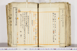 明い022020190002.jpg