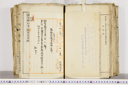 明い022020210003.jpg