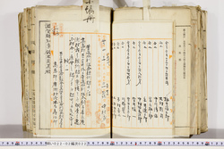 明い022020220003.jpg