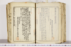 明い022020230007.jpg