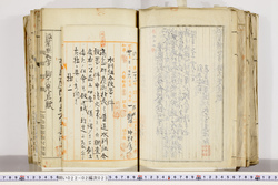 明い022020230008.jpg