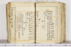 明い022020230009.jpg